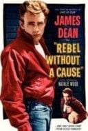 Layarkaca21 LK21 Dunia21 Nonton Film Rebel Without a Cause (1955) Subtitle Indonesia Streaming Movie Download