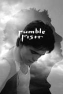 Layarkaca21 LK21 Dunia21 Nonton Film Rumble Fish (1983) Subtitle Indonesia Streaming Movie Download