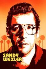 Poster Film Sandy Wexler (2017)