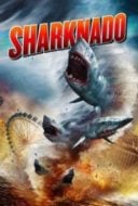 Layarkaca21 LK21 Dunia21 Nonton Film Sharknado (2013) Subtitle Indonesia Streaming Movie Download