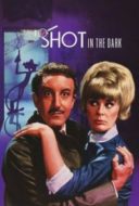 Layarkaca21 LK21 Dunia21 Nonton Film A Shot in the Dark (1964) Subtitle Indonesia Streaming Movie Download