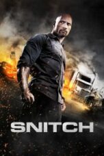 Poster Film Snitch (2013)
