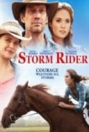 Layarkaca21 LK21 Dunia21 Nonton Film Storm Rider (2013) Subtitle Indonesia Streaming Movie Download