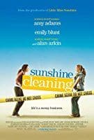 Sunshine Cleaning (2008)