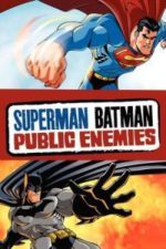 Superman/Batman: Public Enemies (2009)