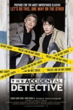 The Accidental Detective (2015)