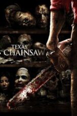 Poster Film Texas Chainsaw 3D (2013)