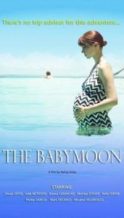 Nonton Film The Babymoon (2017) Subtitle Indonesia Streaming Movie Download