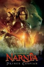 The Chronicles of Narnia: Prince Caspian (2008)