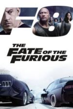 The Fate of the Furious (2017)