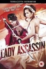 The Lady Assassin (2013)