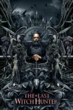 The Last Witch Hunter (2015)