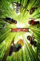 Layarkaca21 LK21 Dunia21 Nonton Film The LEGO Ninjago Movie (2017) Subtitle Indonesia Streaming Movie Download