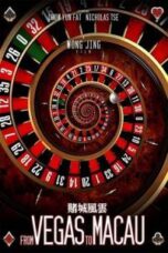 Poster Film The Man from Macau (2014)