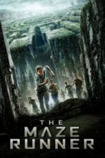 Poster Film The Maze Runner (2014)