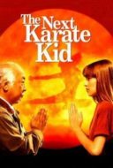 Layarkaca21 LK21 Dunia21 Nonton Film The Next Karate Kid (1994) Subtitle Indonesia Streaming Movie Download