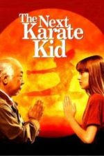 The Next Karate Kid (1994)