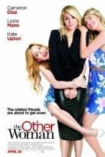Poster Film The Other Woman (2014)