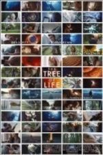 The Tree of Life (2011)