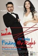 Layarkaca21 LK21 Dunia21 Nonton Film Finding Mr. Right (2013) Subtitle Indonesia Streaming Movie Download