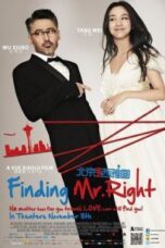 Poster Film Finding Mr. Right (2013)