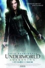 Underworld: Awakening (2012)