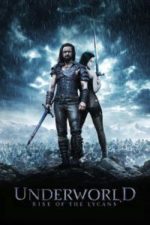 Underworld: Rise of the Lycans (2009)