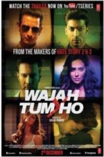 Wajah Tum Ho (2016)