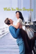 Nonton Film While You Were Sleeping (1995) Subtitle Indonesia Streaming Movie Download