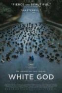 Layarkaca21 LK21 Dunia21 Nonton Film White God (2014) Subtitle Indonesia Streaming Movie Download