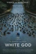 Layarkaca21 LK21 Dunia21 Nonton Film White God (2014) Subtitle Indonesia Streaming Movie Download