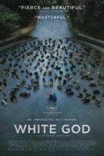 White God (2014)