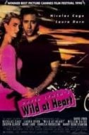 Layarkaca21 LK21 Dunia21 Nonton Film Wild at Heart (1990) Subtitle Indonesia Streaming Movie Download