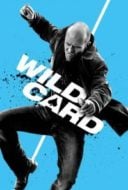 Layarkaca21 LK21 Dunia21 Nonton Film Wild Card (2015) Subtitle Indonesia Streaming Movie Download