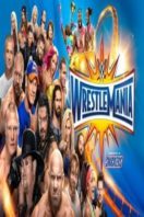 Layarkaca21 LK21 Dunia21 Nonton Film WWE Wrestlemania XXXIII (2017) Subtitle Indonesia Streaming Movie Download