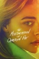 Layarkaca21 LK21 Dunia21 Nonton Film The Miseducation of Cameron Post (2018) Subtitle Indonesia Streaming Movie Download