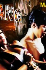 Poster Film Pawang (1995)