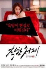 Poster Film Good Sister In Law Forbidden In Love (2017)