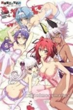 Shinmai Maou no Testament Burst OVA (2016)