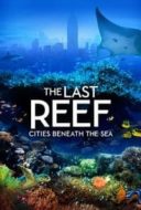 Layarkaca21 LK21 Dunia21 Nonton Film The Last Reef 3D (2012) Subtitle Indonesia Streaming Movie Download