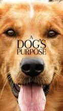 Nonton Film A Dog’s Purpose (2017) Subtitle Indonesia Streaming Movie Download