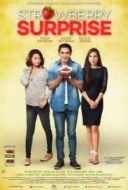 Layarkaca21 LK21 Dunia21 Nonton Film Strawberry Surprise (2014) Subtitle Indonesia Streaming Movie Download