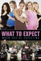 Layarkaca21 LK21 Dunia21 Nonton Film What to Expect When You’re Expecting (2012) Subtitle Indonesia Streaming Movie Download