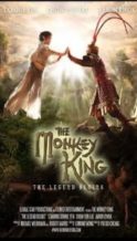 Nonton Film The Monkey King: The Legend Begins (2016) Subtitle Indonesia Streaming Movie Download