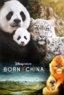 Layarkaca21 LK21 Dunia21 Nonton Film Born in China (2016) Subtitle Indonesia Streaming Movie Download