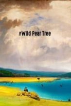 Nonton Film The Wild Pear Tree (2018) Subtitle Indonesia Streaming Movie Download