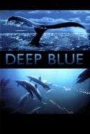 Layarkaca21 LK21 Dunia21 Nonton Film Deep Blue (2003) Subtitle Indonesia Streaming Movie Download