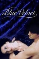 Layarkaca21 LK21 Dunia21 Nonton Film Blue Velvet (1986) Subtitle Indonesia Streaming Movie Download