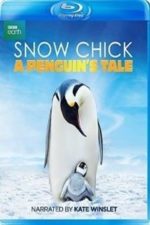 Snow Chick: A Penguin’s Tale (2015)