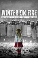 Poster Film Winter on Fire: Ukraine’s Fight for Freedom (2015)